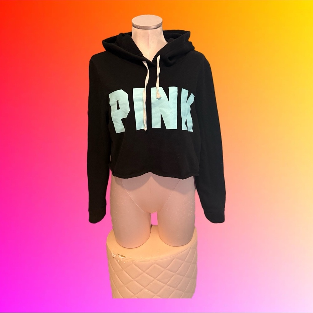 ⭐️ 3/$15 ⭐️ 
EUC / NEAR NEW VS PINK Crop Hoodie with Blue PINK Logo size M - Picture 3 of 6